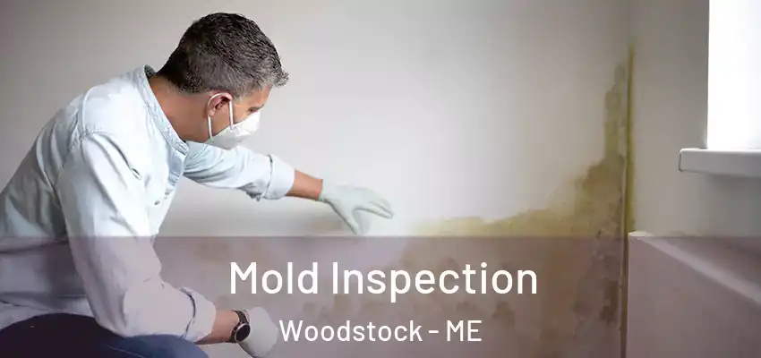  Mold Inspection Woodstock - ME