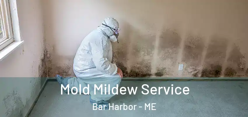  Mold Mildew Service Bar Harbor - ME
