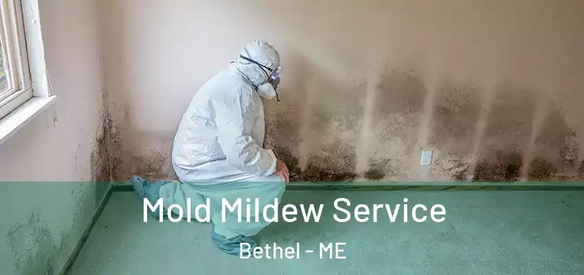  Mold Mildew Service Bethel - ME