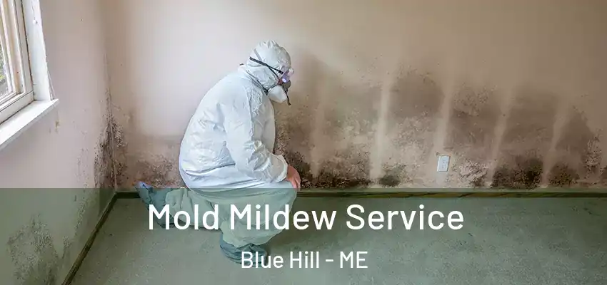  Mold Mildew Service Blue Hill - ME