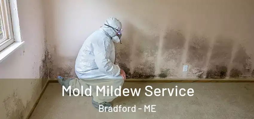  Mold Mildew Service Bradford - ME
