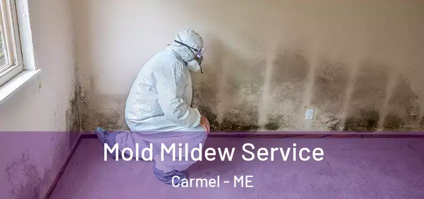  Mold Mildew Service Carmel - ME