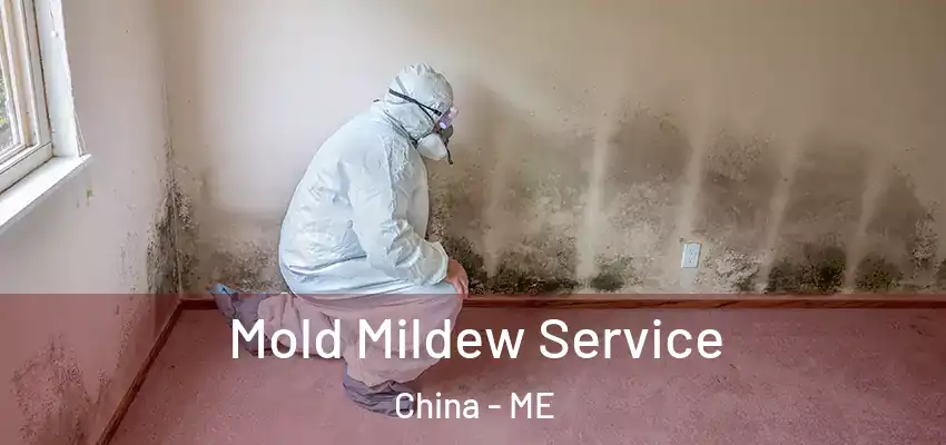  Mold Mildew Service China - ME