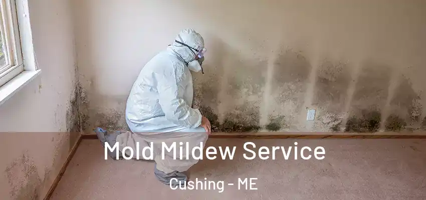  Mold Mildew Service Cushing - ME