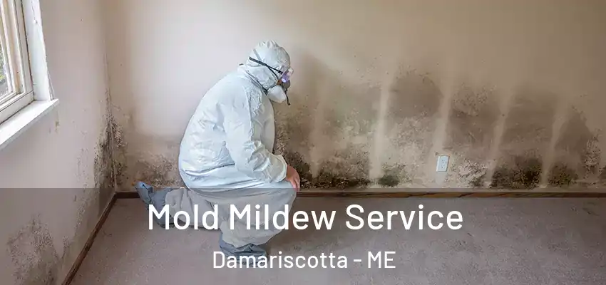  Mold Mildew Service Damariscotta - ME