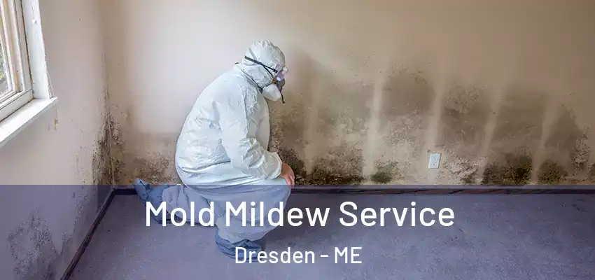  Mold Mildew Service Dresden - ME