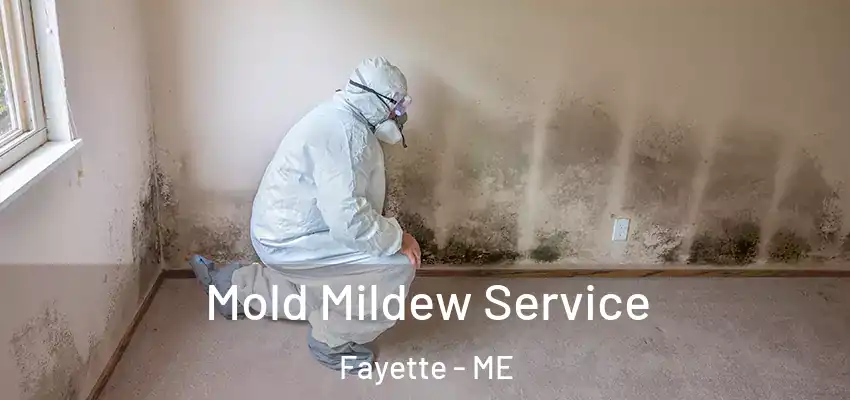  Mold Mildew Service Fayette - ME