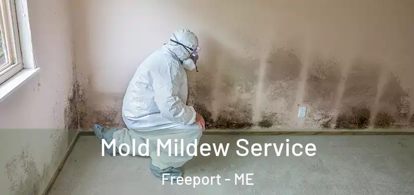  Mold Mildew Service Freeport - ME