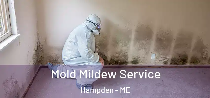  Mold Mildew Service Hampden - ME