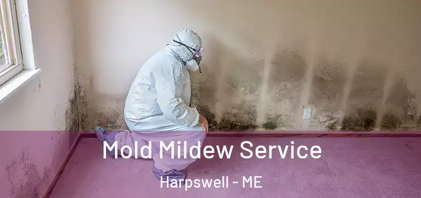 Mold Mildew Service Harpswell - ME