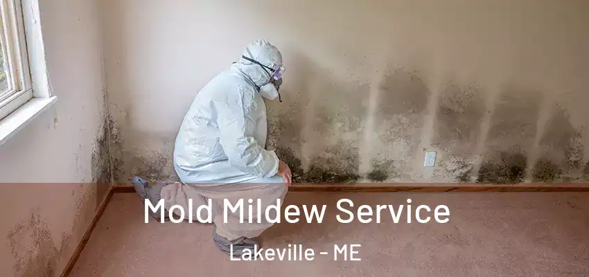  Mold Mildew Service Lakeville - ME