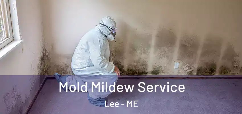  Mold Mildew Service Lee - ME