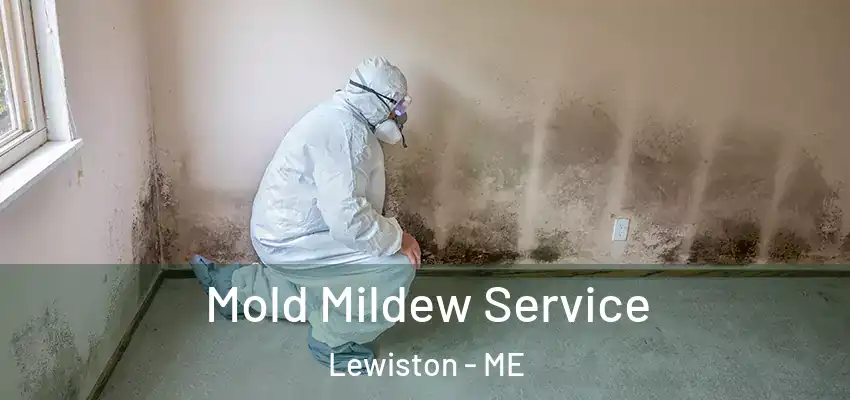  Mold Mildew Service Lewiston - ME