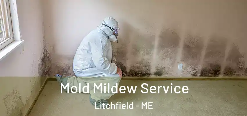  Mold Mildew Service Litchfield - ME