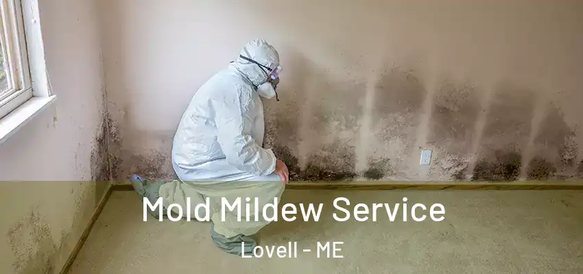  Mold Mildew Service Lovell - ME