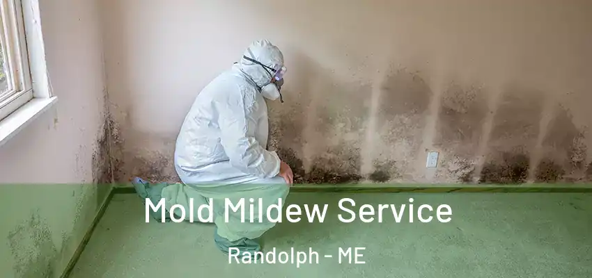  Mold Mildew Service Randolph - ME