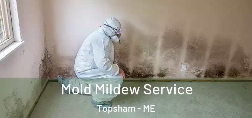  Mold Mildew Service Topsham - ME