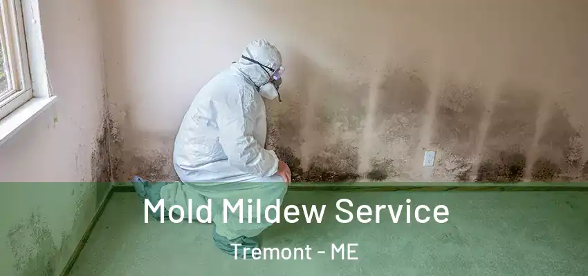  Mold Mildew Service Tremont - ME