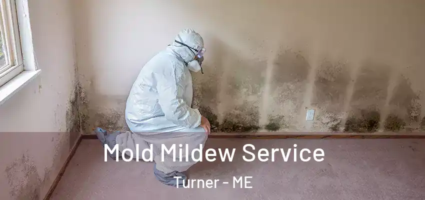  Mold Mildew Service Turner - ME