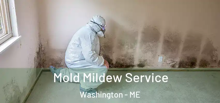  Mold Mildew Service Washington - ME