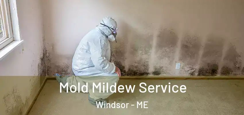  Mold Mildew Service Windsor - ME