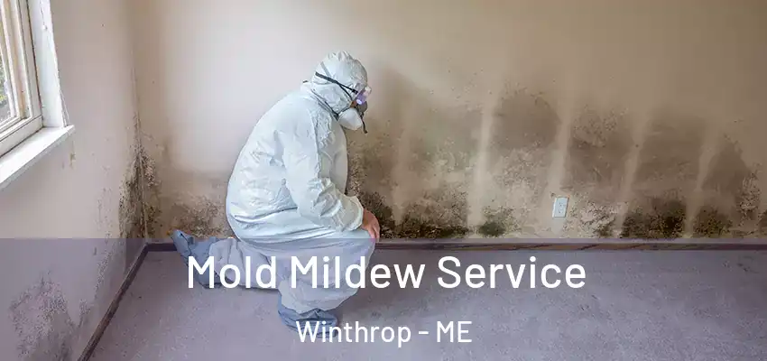  Mold Mildew Service Winthrop - ME