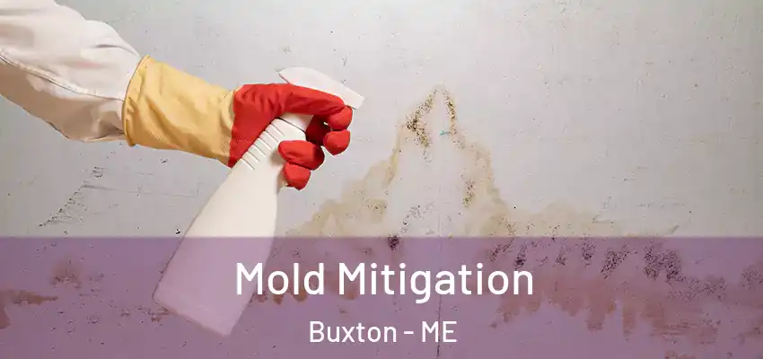  Mold Mitigation Buxton - ME