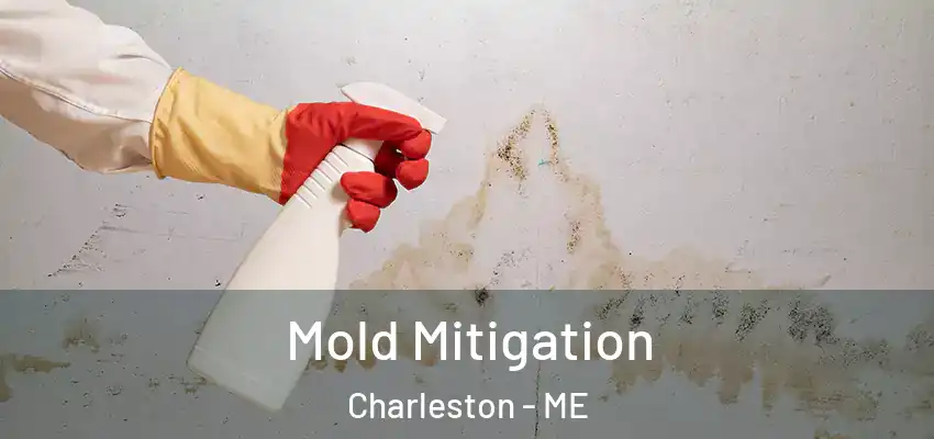  Mold Mitigation Charleston - ME