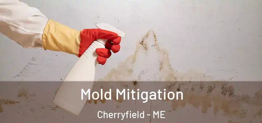  Mold Mitigation Cherryfield - ME