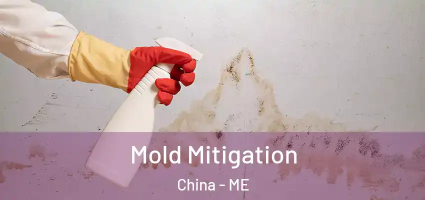  Mold Mitigation China - ME
