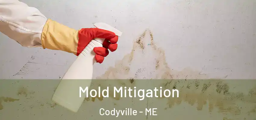  Mold Mitigation Codyville - ME