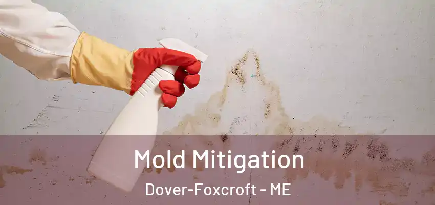  Mold Mitigation Dover-Foxcroft - ME