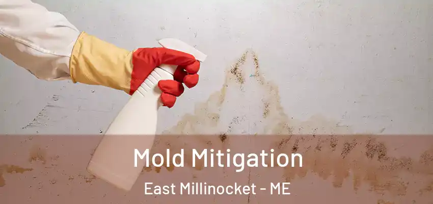  Mold Mitigation East Millinocket - ME