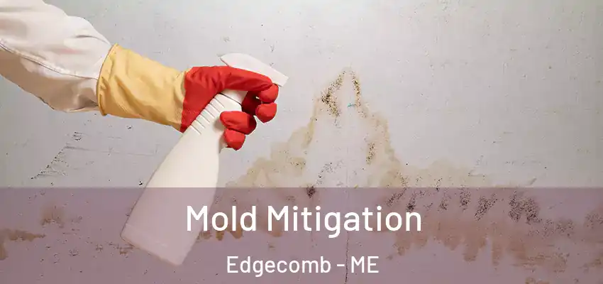 Mold Mitigation Edgecomb - ME