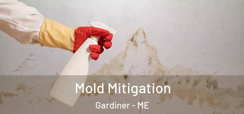  Mold Mitigation Gardiner - ME