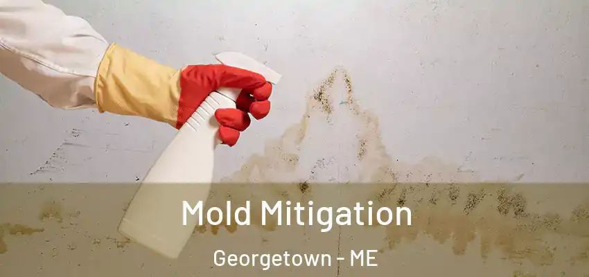  Mold Mitigation Georgetown - ME