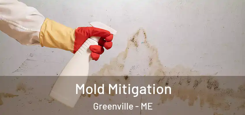  Mold Mitigation Greenville - ME