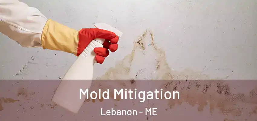  Mold Mitigation Lebanon - ME