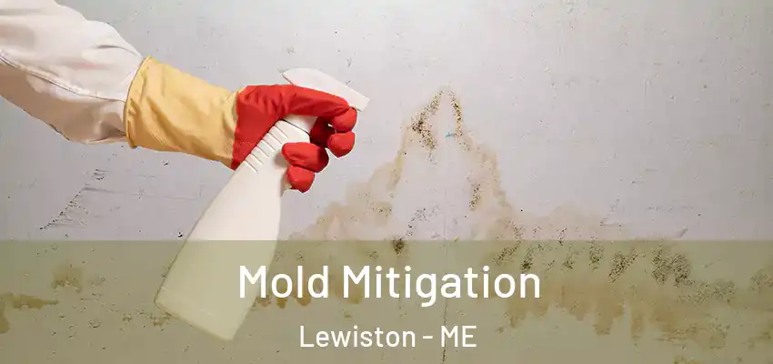  Mold Mitigation Lewiston - ME
