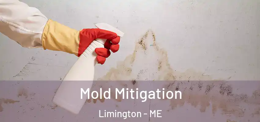  Mold Mitigation Limington - ME