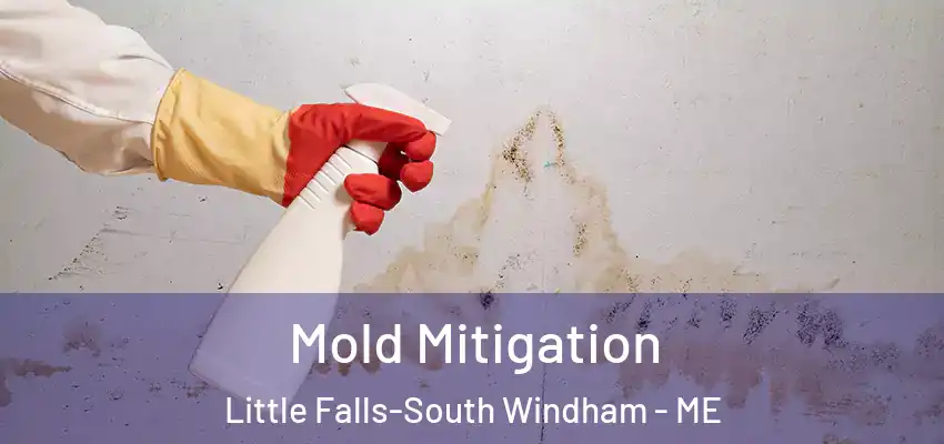  Mold Mitigation Little Falls-South Windham - ME