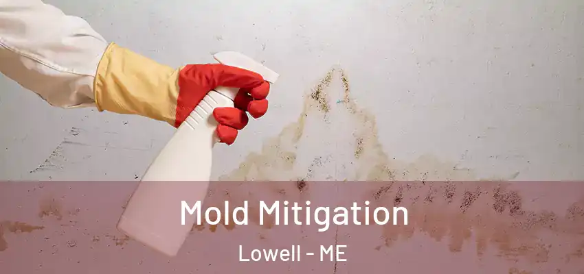  Mold Mitigation Lowell - ME