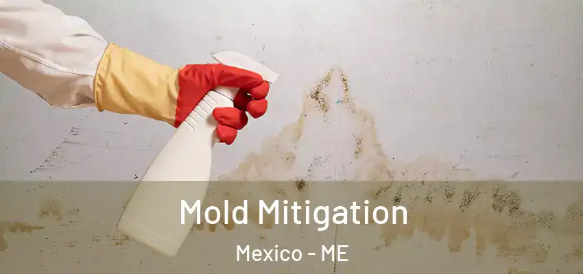  Mold Mitigation Mexico - ME