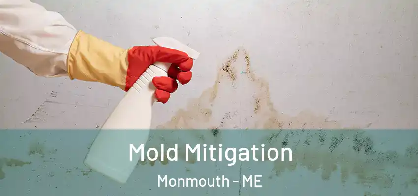  Mold Mitigation Monmouth - ME