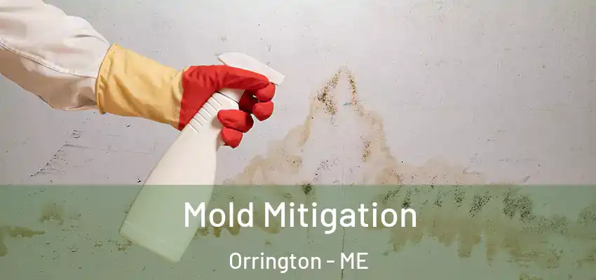  Mold Mitigation Orrington - ME