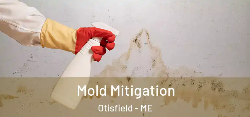  Mold Mitigation Otisfield - ME