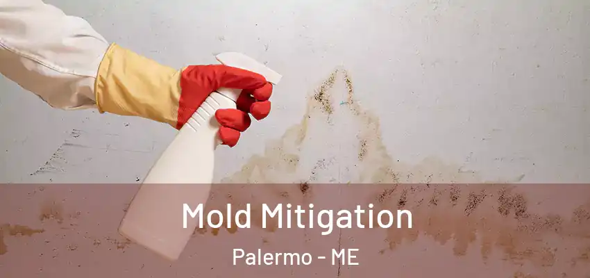  Mold Mitigation Palermo - ME