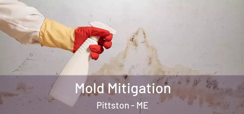 Mold Mitigation Pittston - ME