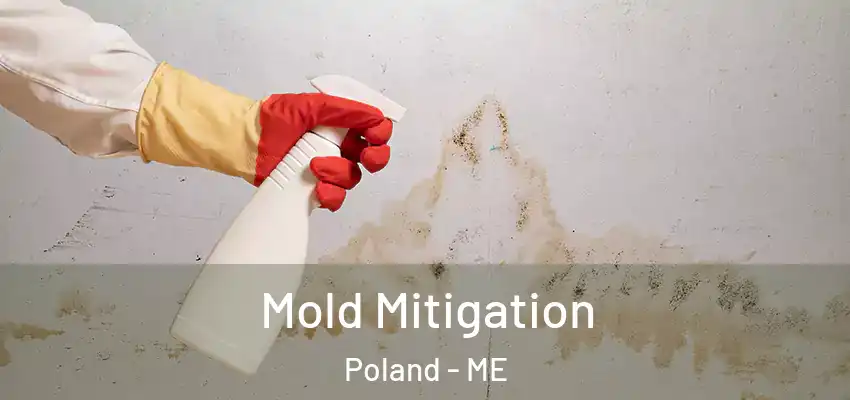  Mold Mitigation Poland - ME