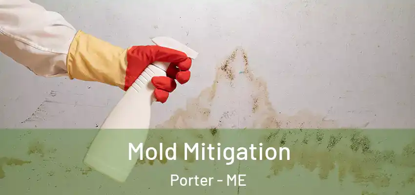  Mold Mitigation Porter - ME